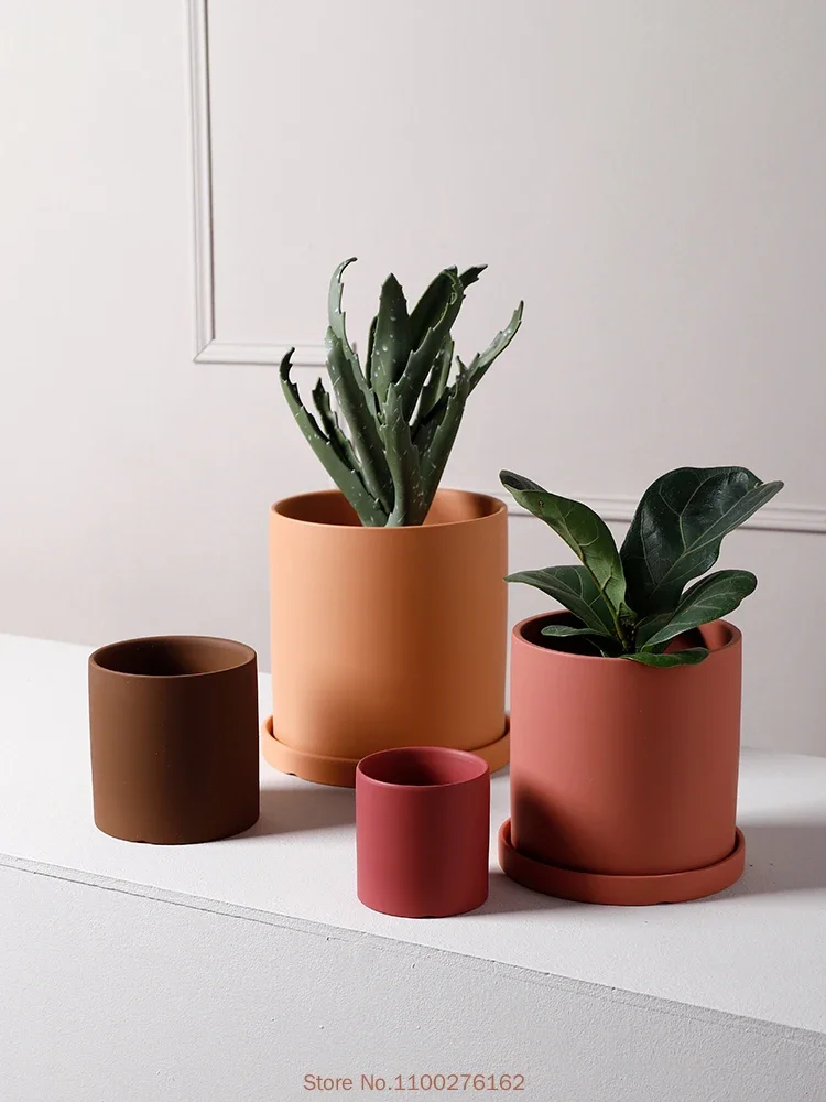 1pc New Pure Color Ceramic Flo - Echeveria Succulent recension och pris