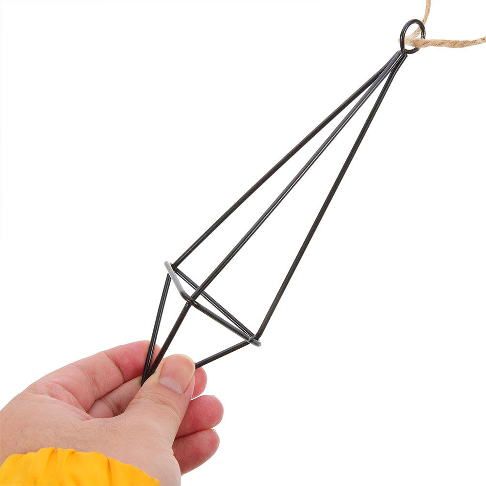 2Pcs Hanging Air Plant Holder  - Spider Plant Hanging recension och pris