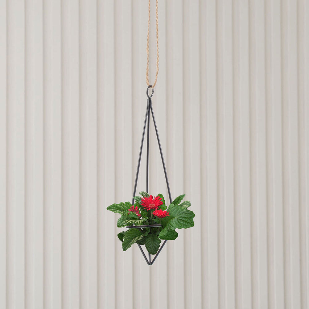 2Pcs Hanging Air Plant Holder  - Spider Plant Hanging recension och pris