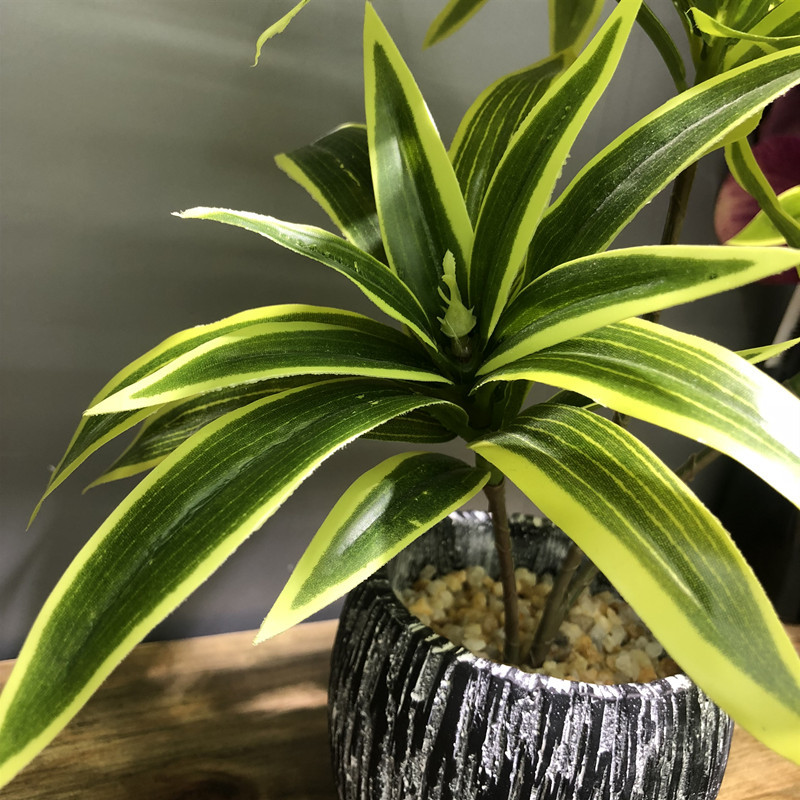 35CM 3 Fork Artificial Desktop - Ficus Lyrata Tree recension och pris
